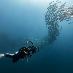 Sea Activities Information Sea Walker 20 Min