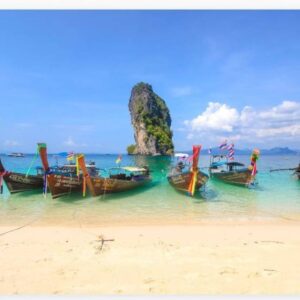 Program krabi