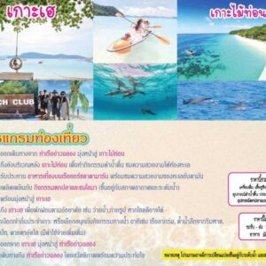 โปรแกรม เกาะเฮ + เกาะไม้ท่อน